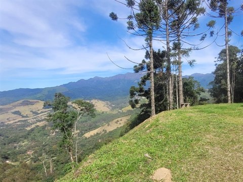 Terreno à Venda