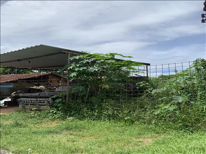 Terreno à Venda