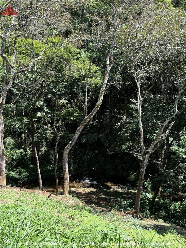 Casa a Venda no Ponte dos Cachorros em Visconde de Mauá (Resende)